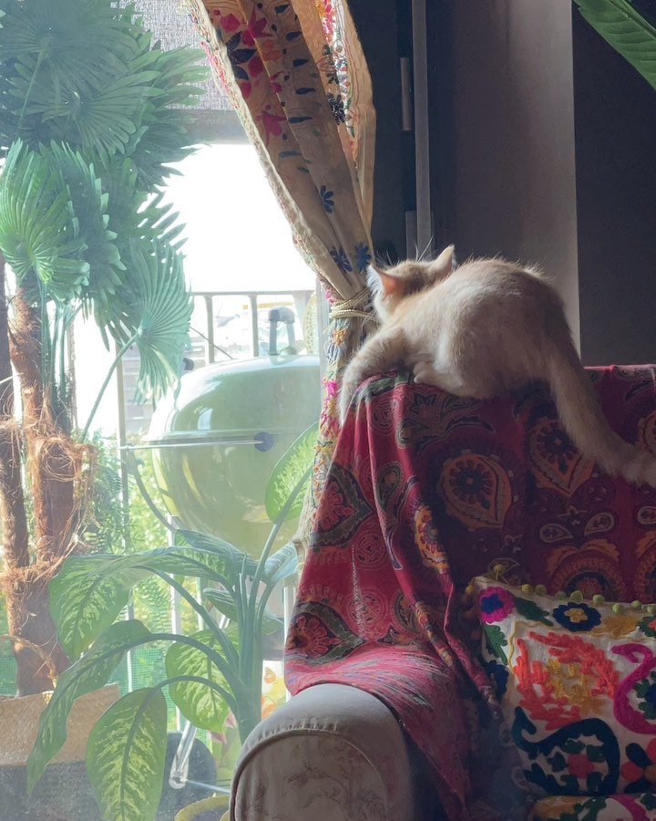 Selvaggia Lucarelli, la regina dei social network, ha conquistato tutti con il suo sarcasmo...