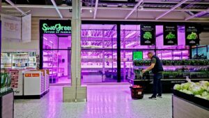 SweGreen: L’innovativa start-up svedese che porta le coltivazioni direttamente nei supermercati