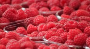 Entro il 2050 il numero di persone con demenza triplicherà, ma una dieta specifica potrebbe...