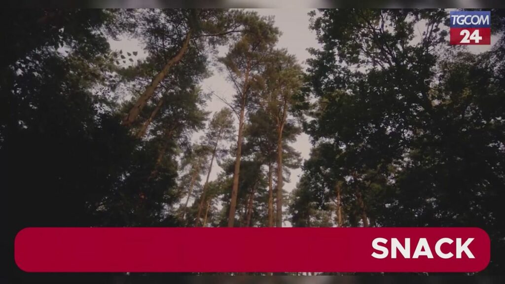 Kate Middleton annuncia di aver completato la chemioterapia