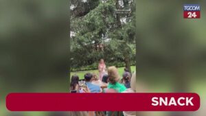 Nel ricco mondo dell'intrattenimento, l'influencer Veronica Ferraro ha celebrato il matrimonio con...