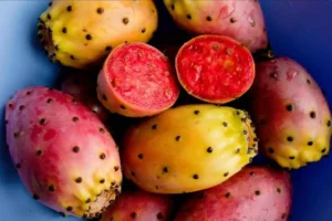 I benefici dei fichi d’india per chi soffre di colon irritabile