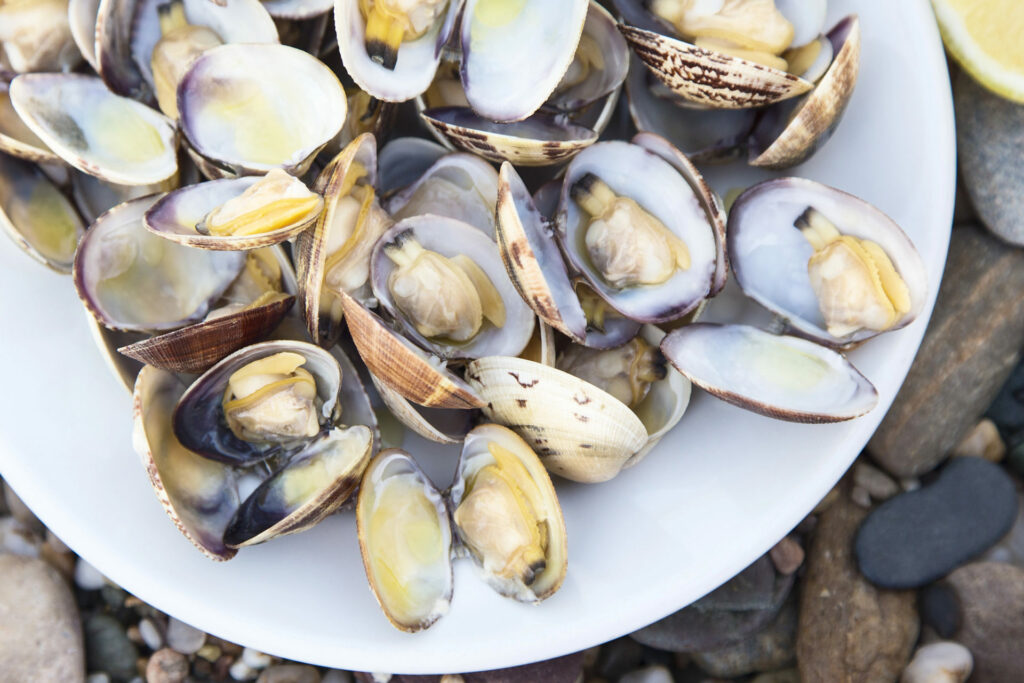 vongole-cotte-Depositphotos_53148977_L-e1725452194417-1920x1280.jpg