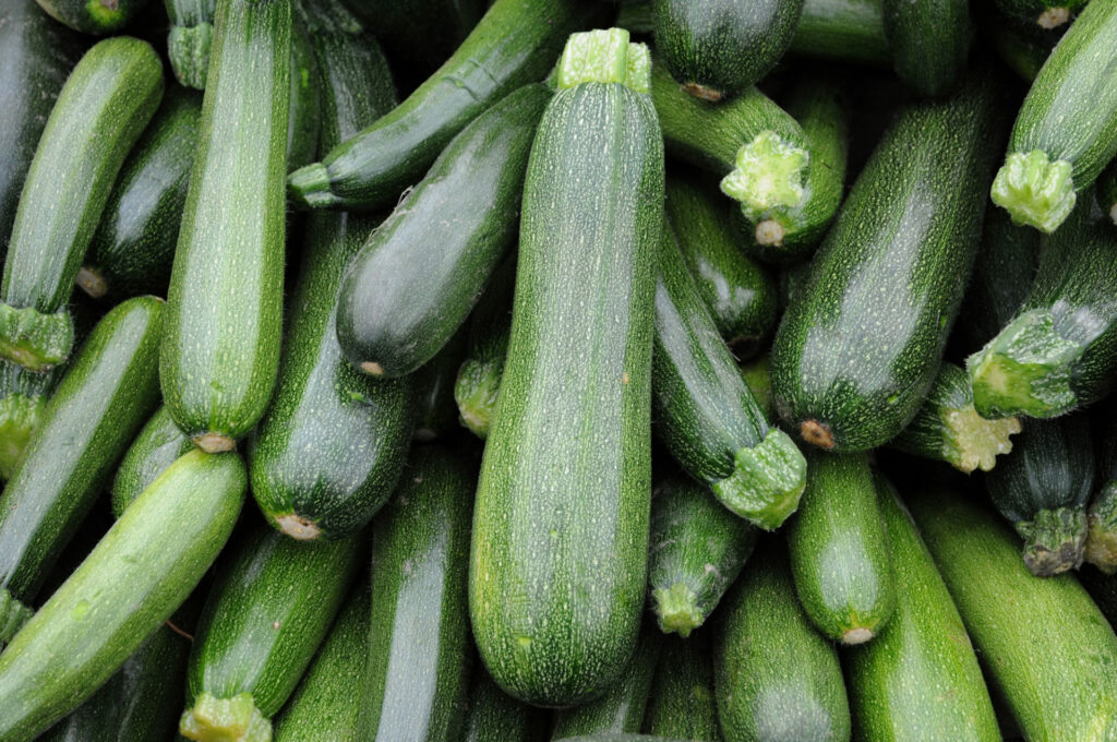 zucchine-Depositphotos_8301124_L-1920x1275.jpg