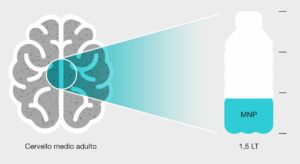 Il cervello umano contiene l’equivalente di 1/3 di una bottiglia di plastica