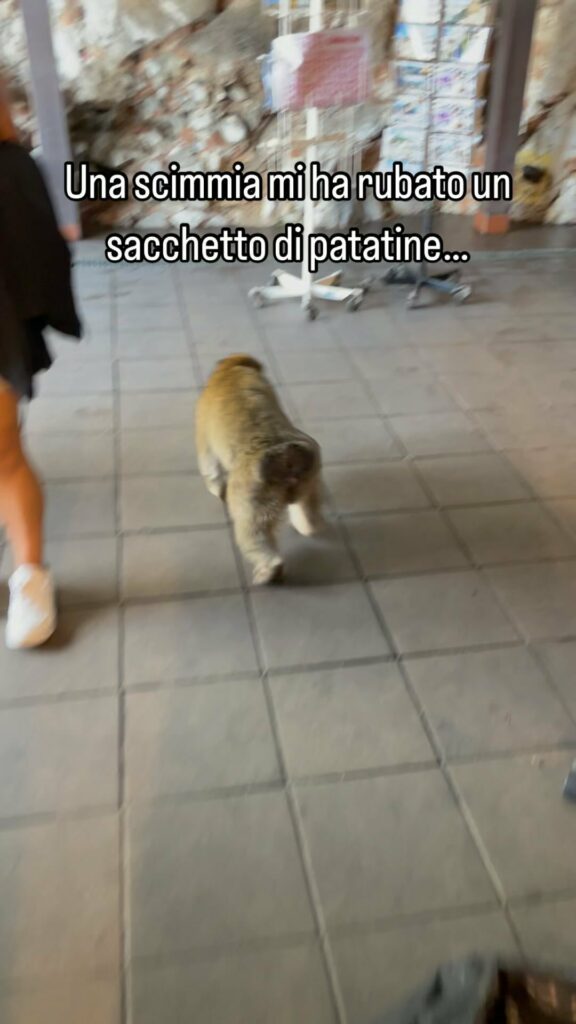 Martina Colombari, Oggi a Gibilterra ho incontrato un’amica di Ercole… su Instagram per i suoi fan