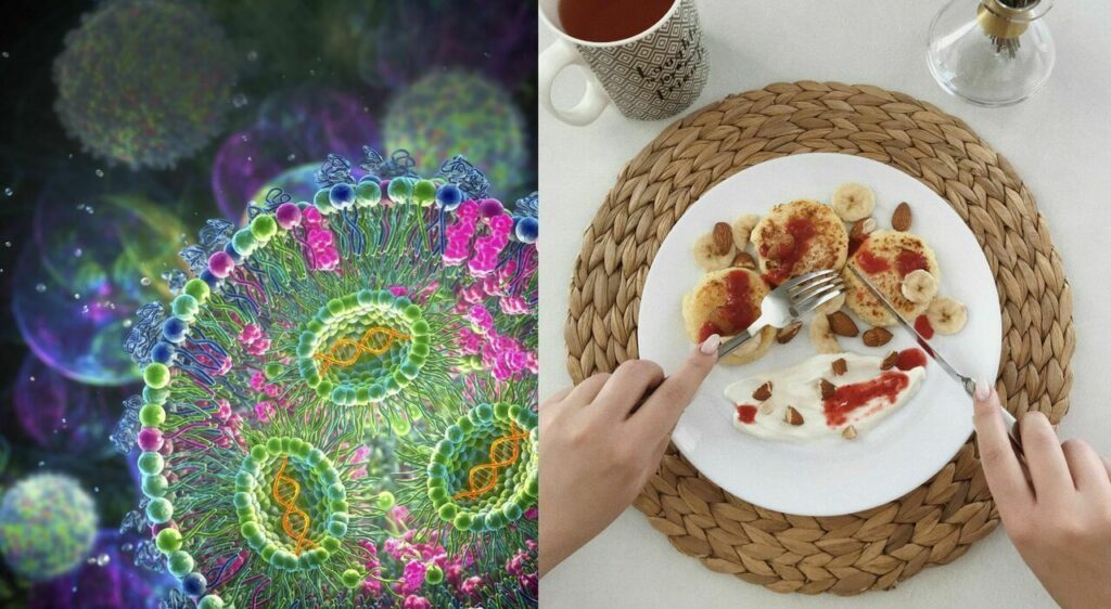 Il nuovo ceppo del coronavirus, la variante Xec, è emerso come potenziale protagonista della...