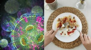 Il nuovo ceppo del coronavirus, la variante Xec, è emerso come potenziale protagonista della...