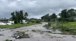 Aumento dei casi di Vibrio vulnificus in Florida dopo l’uragano: batterio mangia-carne causa picco di morti