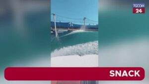 Harry si tuffa nel surf senza Meghan