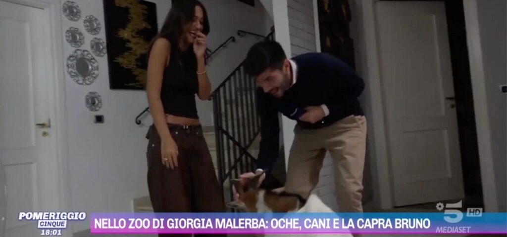 Michel Dessì incornato da una capra in diretta a Pomeriggio 5: Myrta Merlino ride e dice “Questa passerà alla storia”