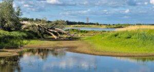 Quando le risorse idriche raggiungono livelli minimi storici: un confronto tra infrastrutture e abusivi