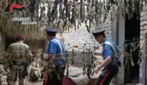 44enne arrestato con 2.5 quintali di droga sepolta in bidoni nel reggino