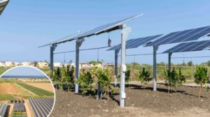 Parte in Calabria il nuovo impianto agrivoltaico all’avanguardia di Enea/Ef solare Italia