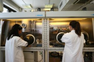 Solo 1 studente su 4 in Europa segue percorsi STEM