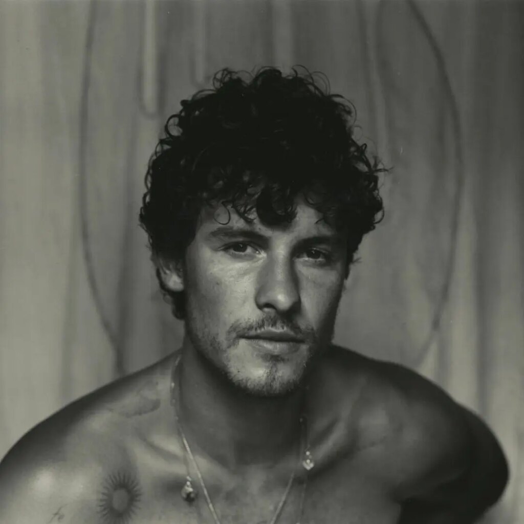 Nuovo singolo di Shawn Mendes: “Heart of Gold”