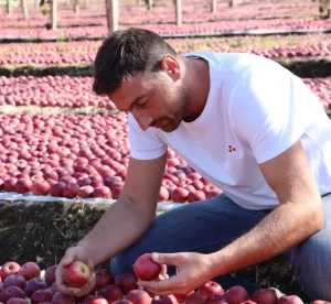 La prima mela certificata in blockchain: Annurca Campana