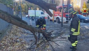 A Milano un albero cade sul marciapiede a causa del vento, nessun ferito