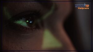 La retina è fondamentale per la visione, convertendo la luce in impulsi elettrici. Fotorecettori...