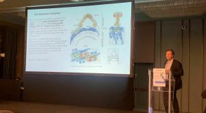 Il testo analizza l'importanza delle foto nella società contemporanea, evidenziando il loro ruolo...