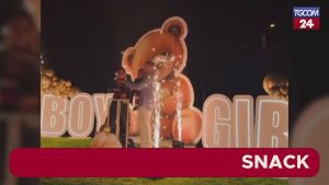 Theo Hernandez e Zoe Cristofoli hanno annunciato il sesso del loro bebè in arrivo attraverso un post...