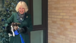 La regina Camilla in lutto per la morte della sua adorata cagnolina Beth