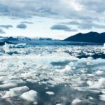 Lotta al cambiamento climatico: cosa possiamo fare per proteggere il pianeta