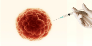 La discussa terapia di Beata Halassy: come ha sconfitto il cancro al seno con l’iniezione di virus