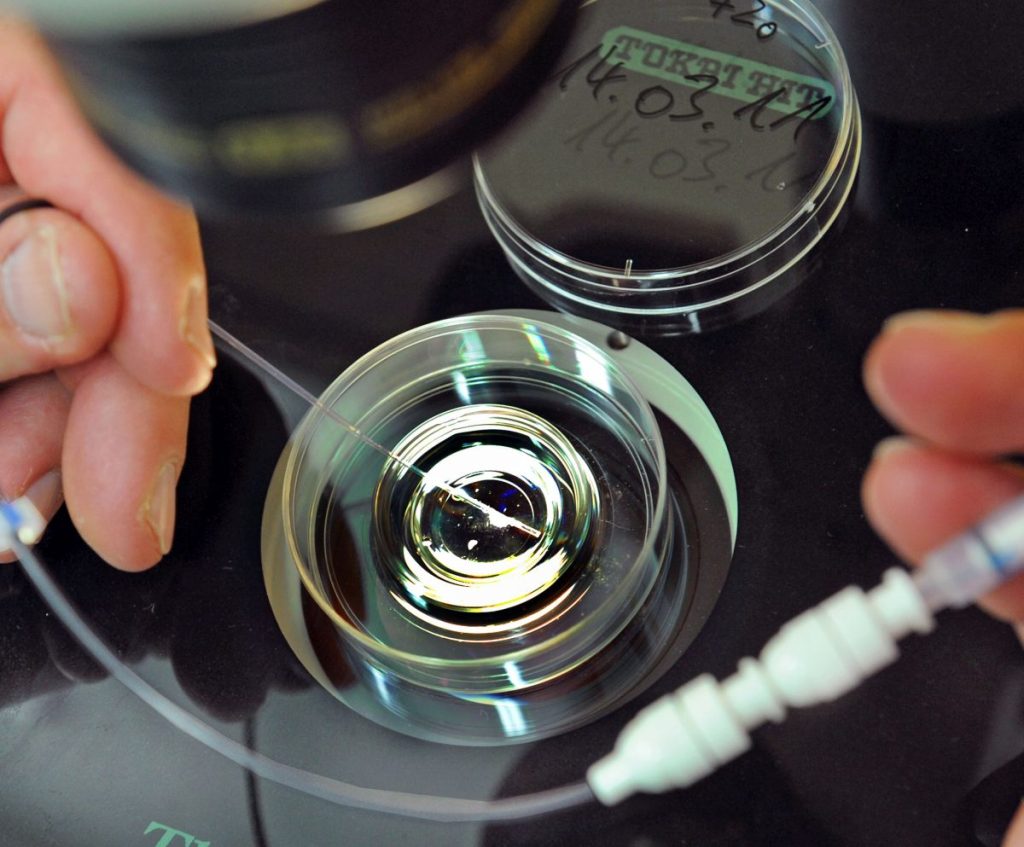 L'incentivazione delle nascite è essenziale per il benessere demografico e sociale del Paese. Il...