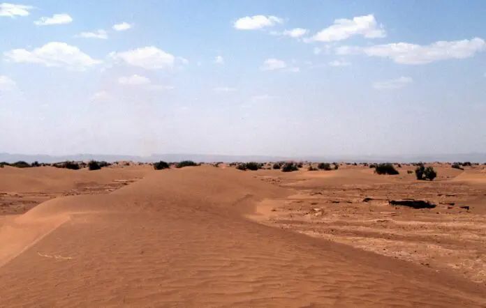 Malta sostiene il piano di autonomia del Marocco per risolvere la questione del Sahara Occidentale...