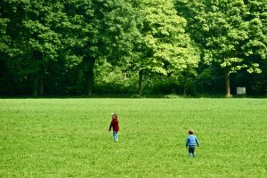 Beduschi investe 2,6 milioni nel bosco dell’autodromo del Parco di Monza