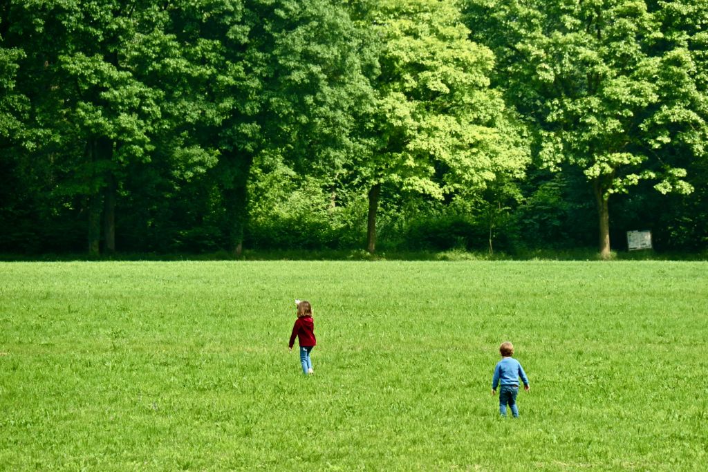 Il testo riguarda la riapertura del Parco di Monza, colpito da malattie fungine e danneggiato da...