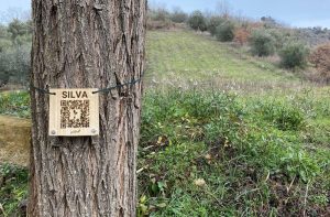 Nasce il bosco Intecs in Abruzzo: un albero per ogni dipendente