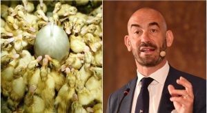 Il prof. Matteo Bassetti ha espresso la necessità di un nuovo piano pandemico per i virus...