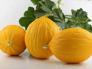 Quando bisogna evitare di mangiare melone giallo: scopri i casi in cui fa male