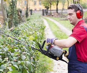 Concorso per giardinieri a San Giorgio a Cremano