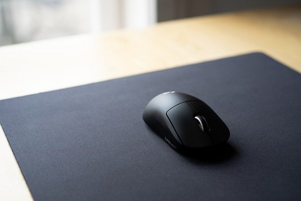 mouse.jpg