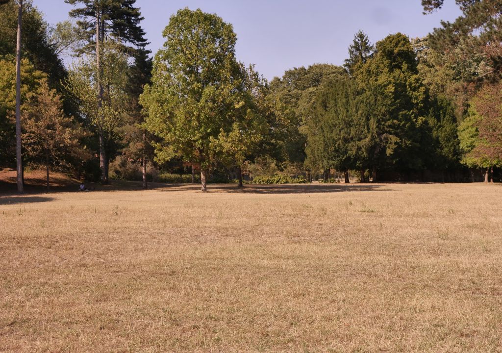 La siccità ha colpito duramente il parco di Villa Reale a Monza, trasformandolo in un deserto...