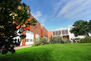 Università della Calabria: il benessere psicologico al centro con un finanziamento di 1,6 milioni dal mur