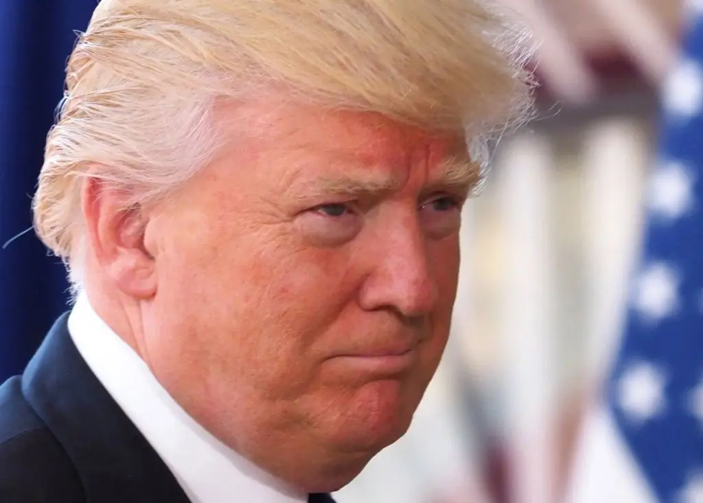 Il Presidente degli Stati Uniti, Donald Trump, si trova a un passo dall'essere eletto presidente...