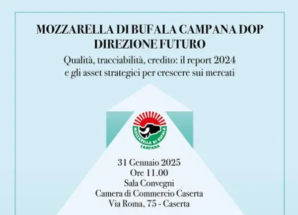Mozzarella di Bufala Campana DOP: evento formativo a Caserta