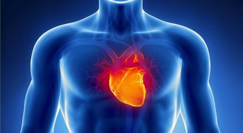 Nuova terapia per curare le ferite del cuore: un cerotto di staminali per l’insufficienza cardiaca