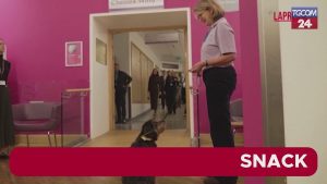 Kate Middleton al Royal Marsden Hospital: Momento speciale con il cane della terapia assistita