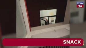 Ladri colpiscono l’ufficio di Edoardo Stoppa: il duro contrattacco di Juliana Moreira