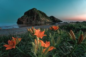 Match di Serie A1 di volley femminile tra Busto Arsizio e Conegliano Oggi, mercoledì 29 gennaio, si...