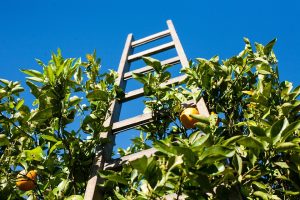 Requisiti concorso Docenti all’estero 2025: informativa del Ministero degli Affari Esteri e della Cooperazione Internazionale