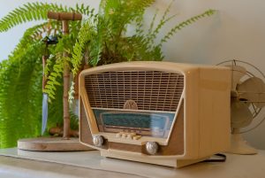 Friuli Venezia Giulia: concorsi per 30 diplomati e laureati, amministrativi