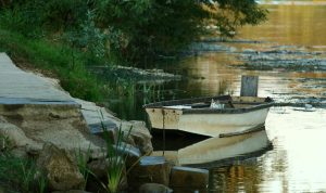 Orario di partenza di Paris, Casse e gli azzurri nel superG di Kitzbuehel: numero di pettorale, programma e trasmissione televisiva