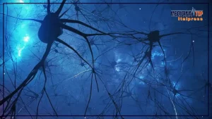 Scopri come mantenere giovane il cervello con la combinazione di curiosità e attività fisica