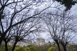 Locali a Scampia sequestrati per riciclaggio di rifiuti speciali